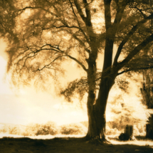 Across the Chinese Bridge