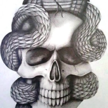 Cobra and Skull