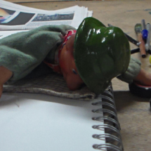 MA IllustrationWorkshop