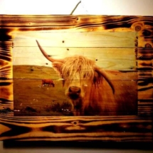 Kasia and Grzegorz Francza