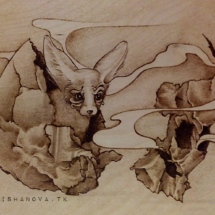 dreaming-fennec-fox-2