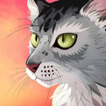 Kitty 2 Contrast small