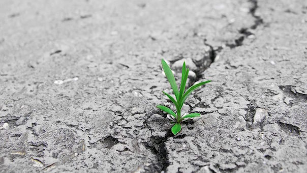 The sky has not fallen! Comment One