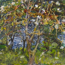 23. Wild Roses, acrylic on paper, 56 x 76 cm copy