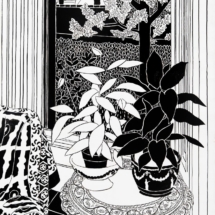 _Plants at Window B_W_, Indian Ink on Board, 122 x 81 cm, © Norman Gilbert 2010