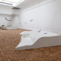 Amplifying Nature, 2018