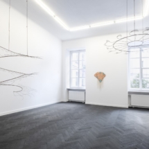 Full Circle Ahead!, 2021