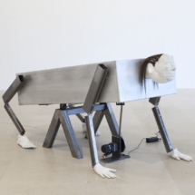 Dean Kenning Renaissance Man 2