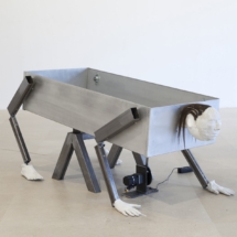 Dean Kenning, Renaissance Man1