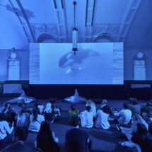 Zadie Xa, Child of Magohalmi and the Echos of Creation (2019) at Walthamstow Library Image by Matt Rowe, courtesy of Art Night (3)