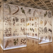 ChangingCourses2017_AGNSW_ImageFelicityJenkins