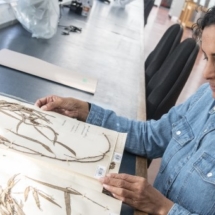 Keg de Souza at Royal Botanic Garden Edinburgh photo courtesy of RBGE