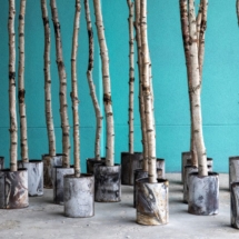 A FRAGILE CORRESPONDENCE