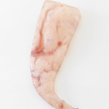 Collective – Tarek Lakhrissi, I wear my wounds on my tongue, 2021. Courtesy of the artist, Kevin Space, VITRINE and Galerie Allen