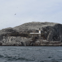 EAF - 50 George Sq - Nat Raha, Bass Rock, 2023