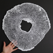 68_Ash Rise_Stevi Benson_TIME photo courtesy of the maker