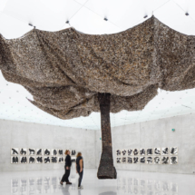 Kunsthaus Bregenz, KUB 2023.04, Exhibition Solange Pessoa, 11.11.2023- 04.002.2024