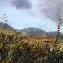 Jackie Stevenson - Autumn in the Air