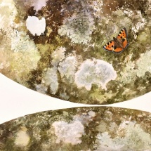 Jonathan Sainsbury - Thinking about Bridget Riley while painting a Butterfly